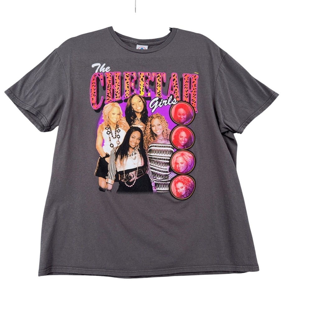 The Cheetah Girls Disney Graphic‎ T-Shirt Large Gray Delta Soft 00s